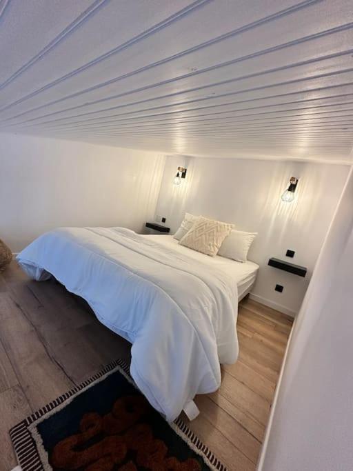 Duplex Lumineux Leilighet Nantes Eksteriør bilde